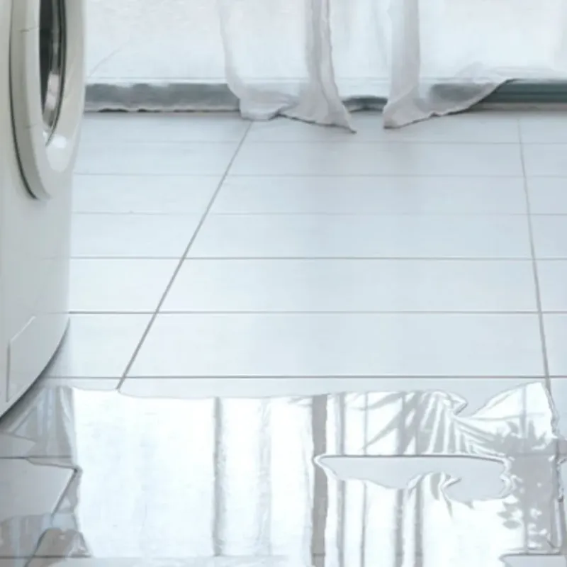 Appliance Leak Cleanup in Columbus Junction, IA