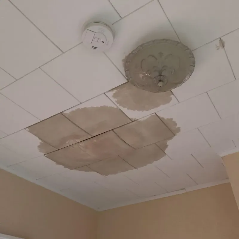 Ceiling Water Damage Repair in Columbus Junction, IA