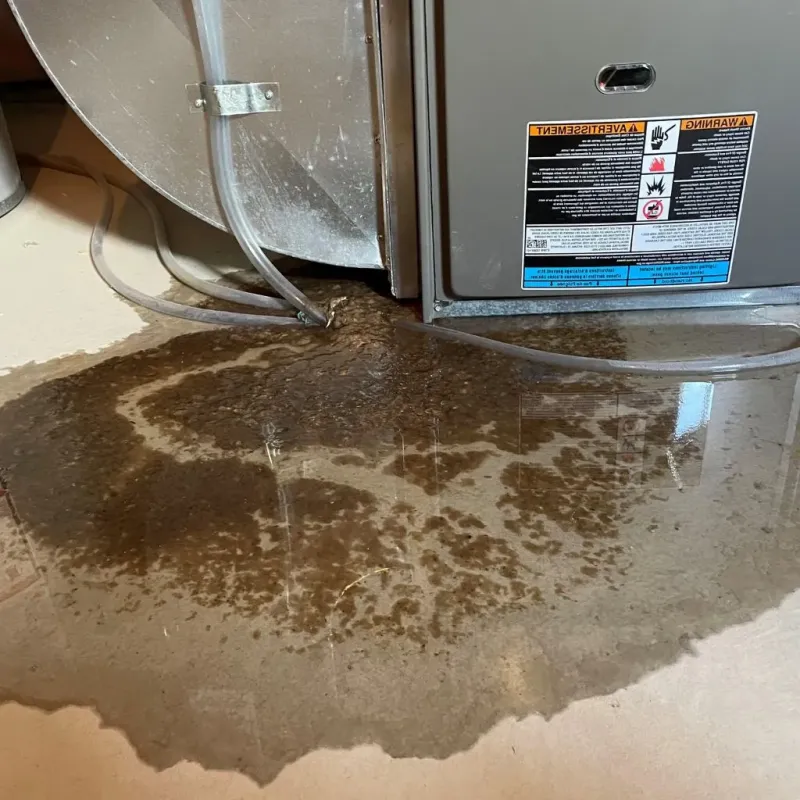 Pipe Burst and Leak Restoration in Columbus Junction, IA