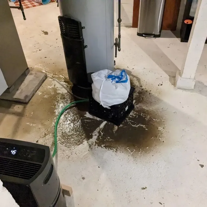 Sewage Backup Cleanup Service in Columbus Junction, IA